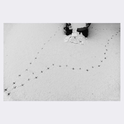 Tracce, Nevicata San Benedetto del Tronto. © Luca Cameli Photographer