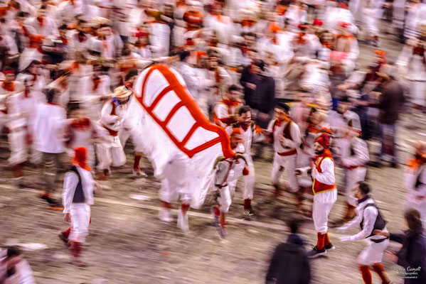 Storie Di Un Attimo • Festival Popolare Della Fotografia 2024 ~ Carnevale Storico di Offida • Bove Finto. © Luca Cameli Photographer