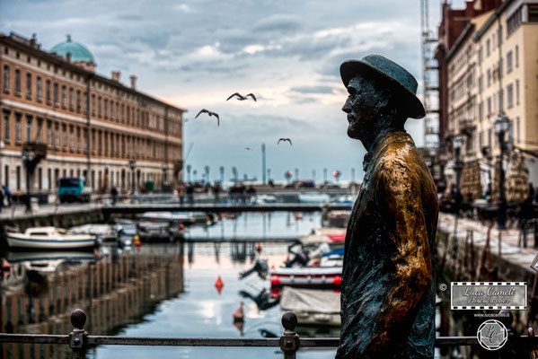 Luci Di Trieste. Statua di James Joyce, Trieste. © Luca Cameli Photographer