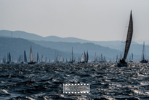Trieste - Barcolana50, Regata Barcolana, Frecce Tricolori. © Luca Cameli Photographer