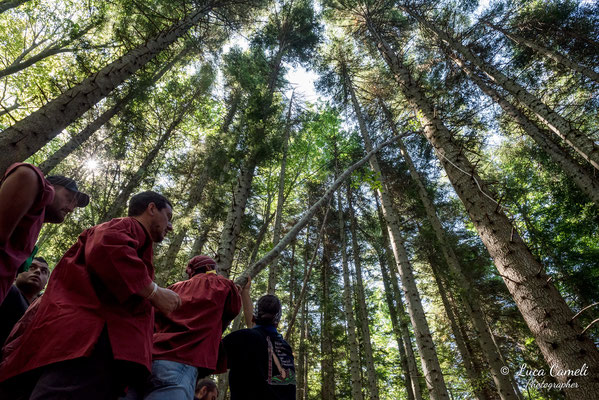 FESTA BELLA 2019 ~ SPELONGA - Taglio dell'albero - RisorgiMarche