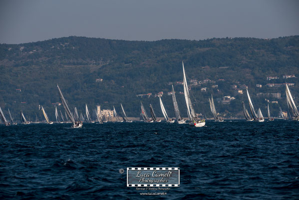 Trieste - Barcolana50, Regata Barcolana, Castello Miramare. © Luca Cameli Photographer