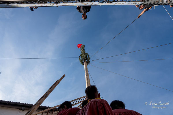 FESTA BELLA 2019 ~ SPELONGA - Alzata dell'albero - RisorgiMarche