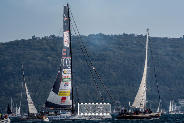 Trieste - Barcolana50, Regata Barcolana, Frecce Tricolori. © Luca Cameli Photographer