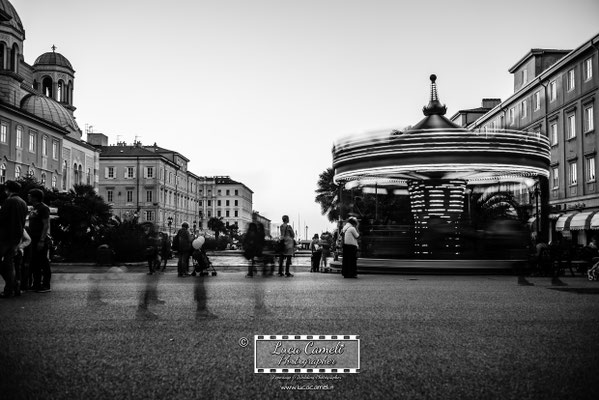 Trieste - Barcolana50, Canal Grande. © Luca Cameli Photographer