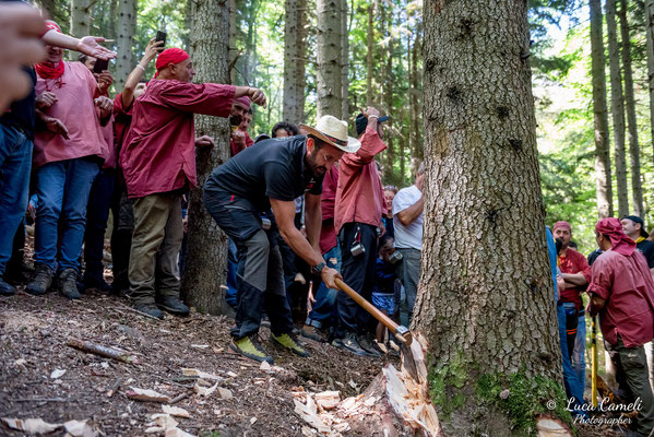 FESTA BELLA 2019 ~ SPELONGA - Taglio dell'albero - RisorgiMarche