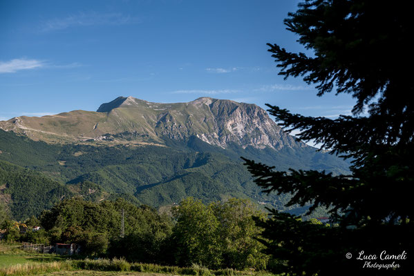 FESTA BELLA 2019 ~ SPELONGA - Taglio dell'albero - RisorgiMarche