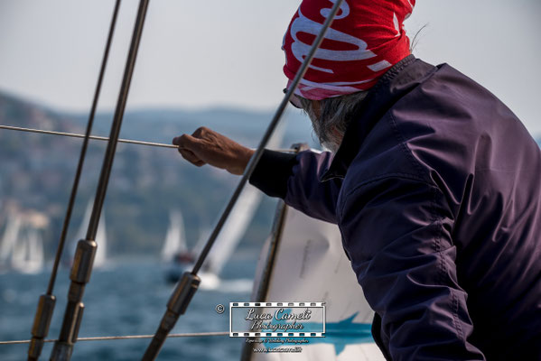 Trieste - Barcolana50, Regata Barcolana. © Luca Cameli Photographer