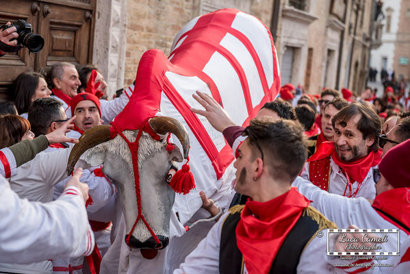 Carnevale Storico Di Offida, Il Bove Finto 2018 [Lù Bov Fint]. © Luca Cameli Photographer