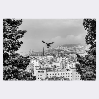 Volando Su Trieste, Trieste dal Parco della Rimembranza. Premiato "Premio Internazionale Ambasciatore d'Arte 2019" Istanbul ~ Shanghai ~ Pechino ~ Tokyo. © Luca Cameli Photographer
