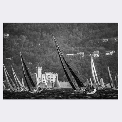 Regata Barcolana - Castello Miramare, Trieste. © Luca Cameli Photographer