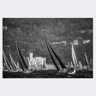 Regata Barcolana - Castello Miramare, Trieste. © Luca Cameli Photographer