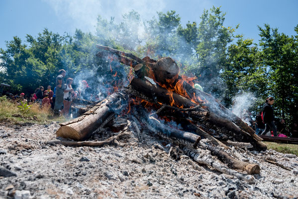 FESTA BELLA 2019 ~ SPELONGA - Taglio dell'albero - RisorgiMarche