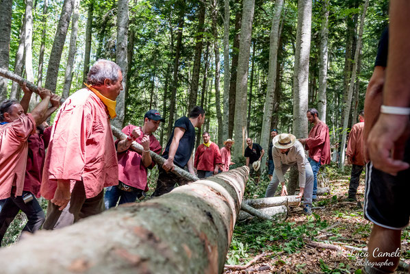 FESTA BELLA 2019 ~ SPELONGA - Taglio dell'albero - RisorgiMarche