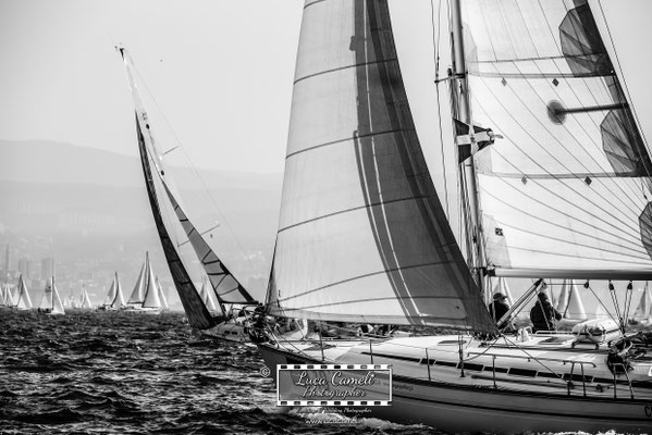 Trieste - Barcolana50, Regata Barcolana. © Luca Cameli Photographer
