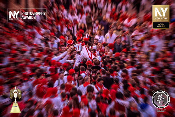 New York Photography Awards 2023 ~ Gold Winner. "Il Bove Finto", Carnevale Storico di Offida. © Luca Cameli Photographer