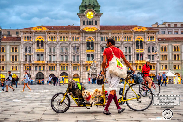 Luci Di Trieste. Piazza Unità d'Italia, Trieste. © Luca Cameli Photographer