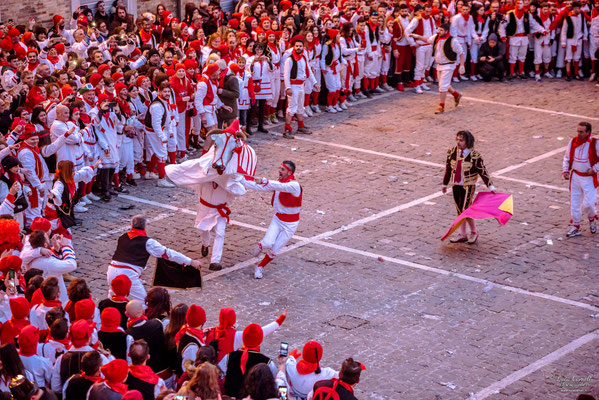 Storie Di Un Attimo • Festival Popolare Della Fotografia 2024 ~ Carnevale Storico di Offida • Bove Finto. © Luca Cameli Photographer