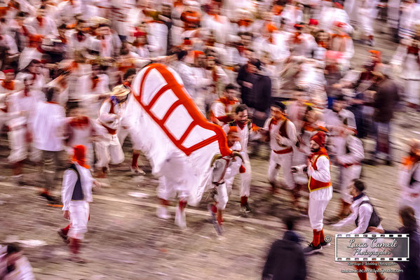 Carnevale Storico Di Offida, Il Bove Finto 2018 [Lù Bove Fint] © Luca Cameli Photographer