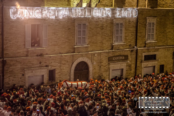 Carnevale Storico Di Offida, Il Bove Finto 2018 [Lù Bov Fint]. © Luca Cameli Photographer