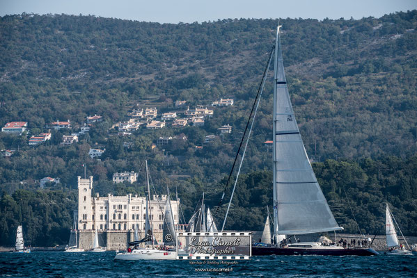 Trieste - Barcolana50, Regata Barcolana, Castello Miramare. © Luca Cameli Photographer