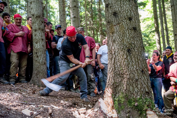 FESTA BELLA 2019 ~ SPELONGA - Taglio dell'albero - RisorgiMarche