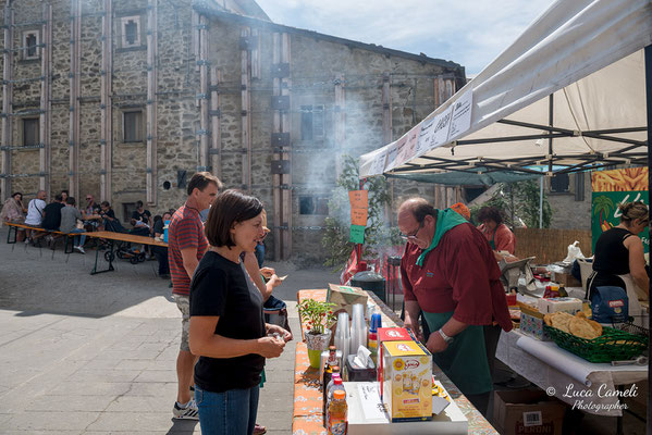 FESTA BELLA 2019 ~ SPELONGA - Alzata dell'albero - RisorgiMarche