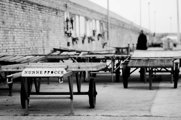 Ascoltando il silenzio del porto - Concept, San Benedetto del Tronto