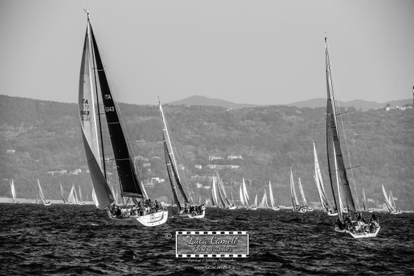 Trieste - Barcolana50, Regata Barcolana. © Luca Cameli Photographer