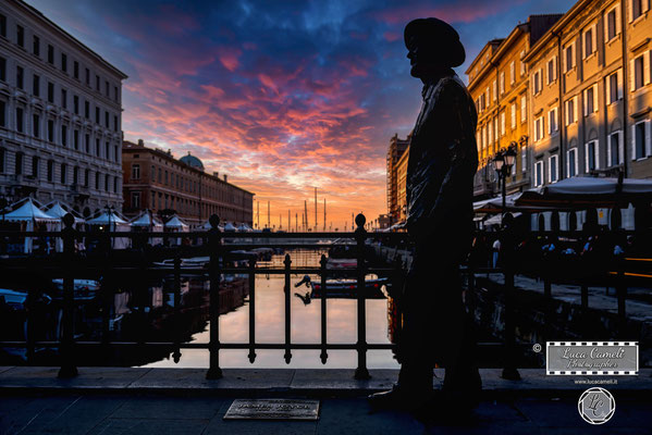 Luci Di Trieste. Statua di James Joyce - Barcolana50, Trieste. © Luca Cameli Photographer