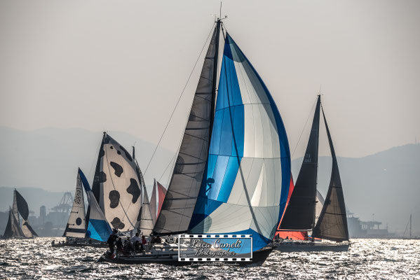 Trieste - Barcolana50, Regata Barcolana. © Luca Cameli Photographer