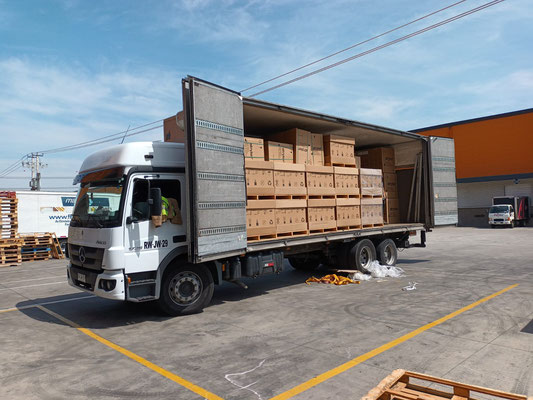 transporte gestion carga camiones personal