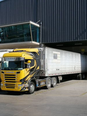 transporte-fletes-osorno-camiones-sur-chile