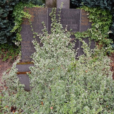 Pluwig. Kriegerdenkmal. Die Basalttafel mit den Namen der Gefallenen