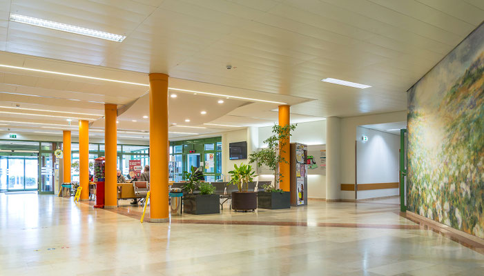 Landesklinikum Horn, Krankenhaus