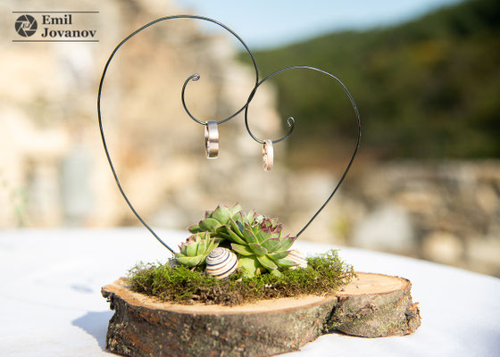 hochzeit, hochzeitsfotografie, horn, hochzeitsfotograf, waldviertel
