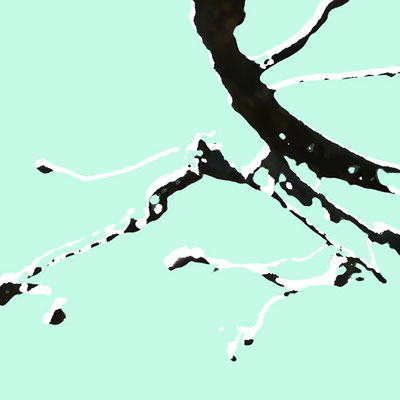 Branches 4, Fotografie 2016