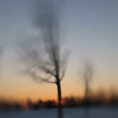 Winter 4, Fotografie 2013