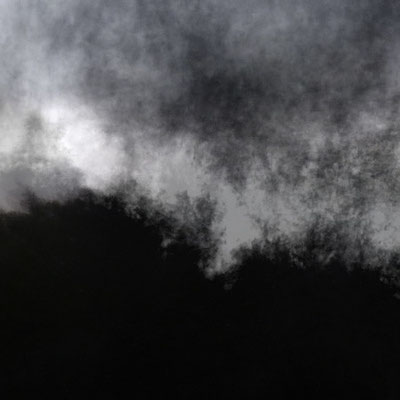 Clouds And Trees 1, Fotografie 2014