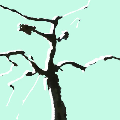 Branches 3, Fotografie 2016