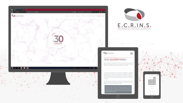 Web Design: E.C.R.IN.S. SA | Business Intelligence | www.ecrins.ch