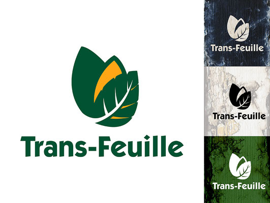 Logo Design: Recycling transport company