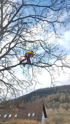 Rückschnitte und Gartenpflege mit Motorsäge und professioneller Ausrüstung