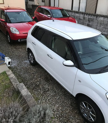 38枚目はz00m-zoom4様のCベリーサ3姉妹。愛あふれる1枚、いつまでも大切にしてくださいね。