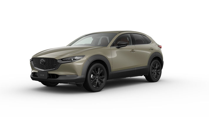 MAZDA CX-30 20S RetroSportsEdition