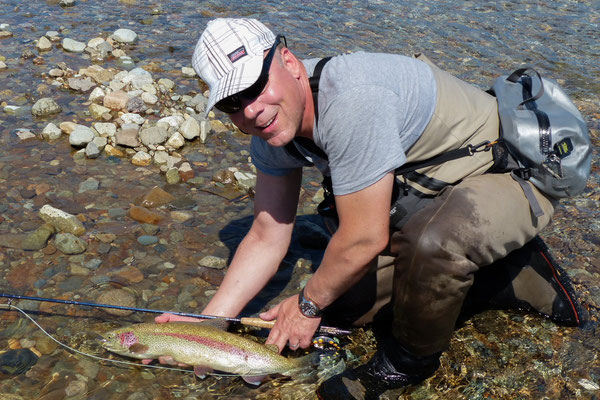 Rainbow Trout Moraine Creek Alaska