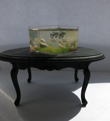Acuario de peces Koi 5,5x4,1x3,4 cm