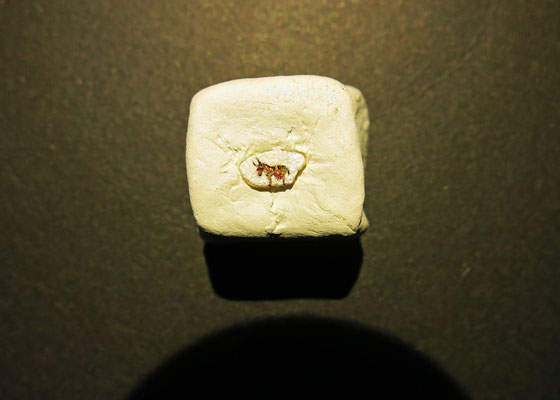 Micro-miniatura, pintura en grano de arroz, encargo para el museo Carromato de Mijas