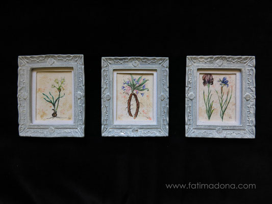 Scientific Illustration after Jacopo Ligozzi (s. XVIII) watercolour 4,8x5,8 cm