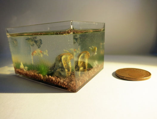 Acuario de peces Koi 5,5x4,1x3,4 cm